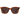 DARINE-Golden Daze Tortoise / Drift Polarized-55