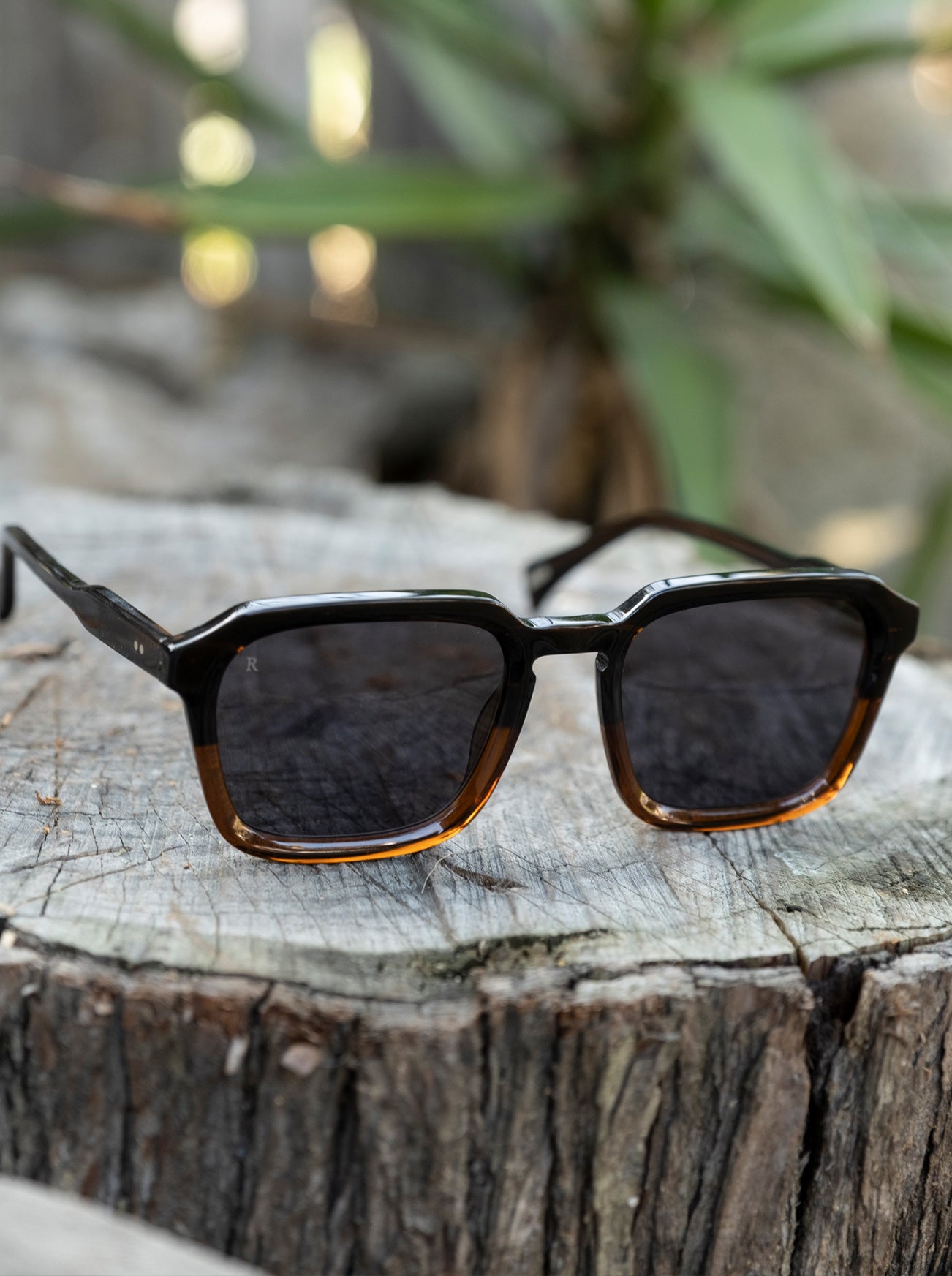 RAEN Burel POLARIZED Sunglasses Crystal Black/Smoke Brown lenses -  Accessories