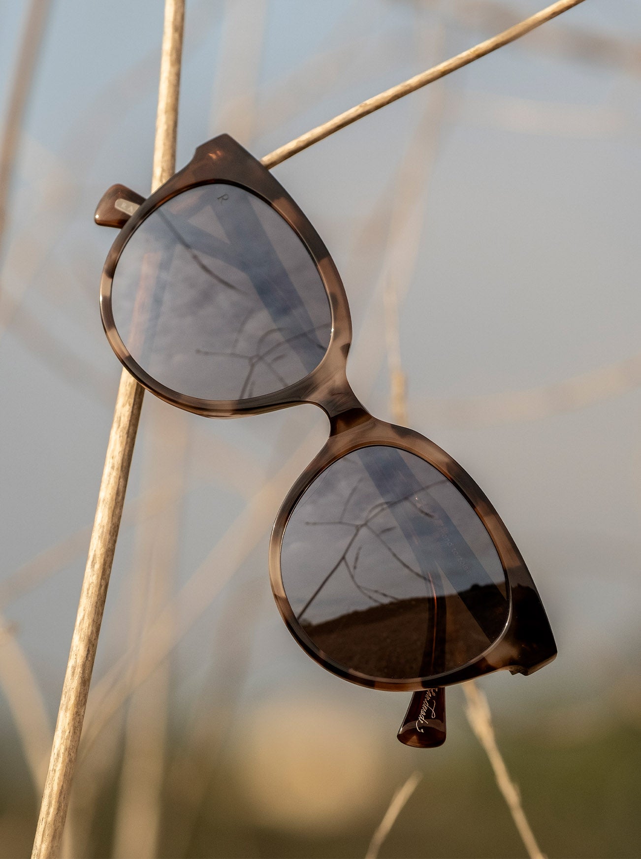 Lily Sunglasses Almond Tortoise/Alpine Mirror