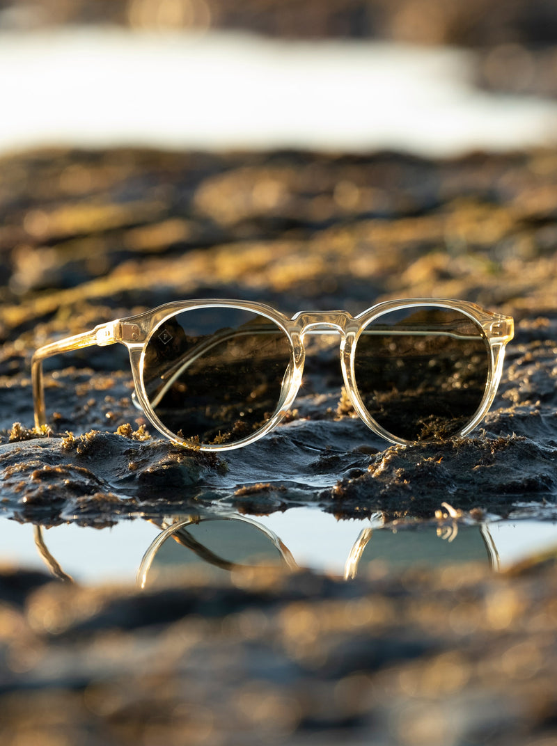 REMMY-Champagne Crystal / Green Polarized-49 – RAEN EUROPE display picture 3
